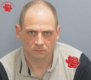 Profile image of Lance Baynes