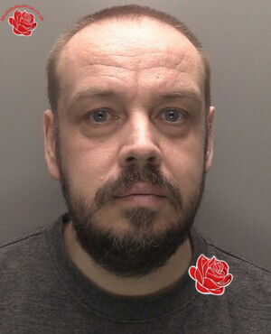 Profile image of Mark Edwards