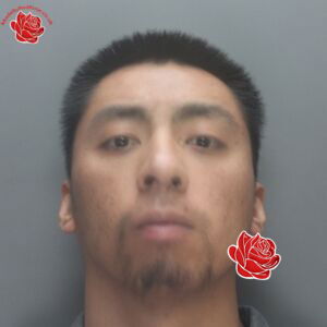 Profile image of Hon Chung
