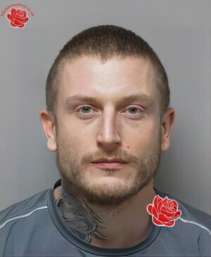 Profile image of Jamie Bicknell