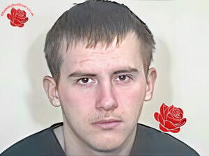 Profile image of Paul Fitzgerald