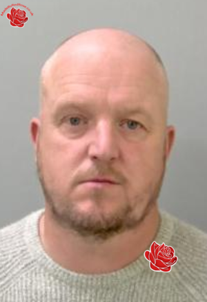 Profile image of Gavin Sloan