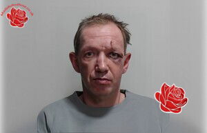 Profile image of Andrew Miller