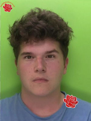 Profile image of Shaie Forth