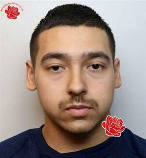 Profile image of Dennis Rocha