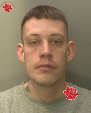 Profile image of Matthew Taylor