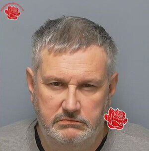 Profile image of Stephen Lovelock