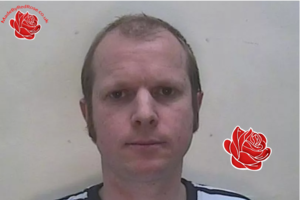 Profile image of Michael Batty