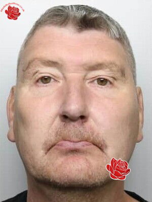 Profile image of Stephen Pocklington