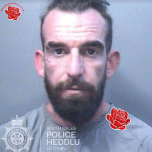 Profile image of David Morgan