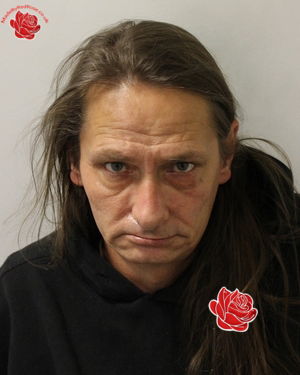 Profile image of David Asser
