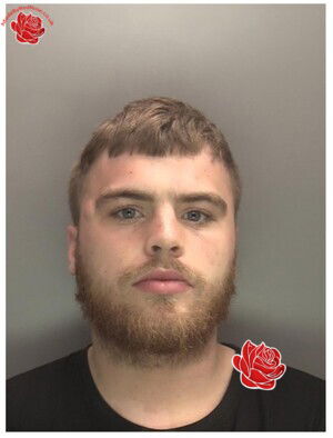 Profile image of Aiden Foster