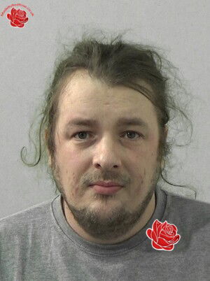 Profile image of Scott Daniels