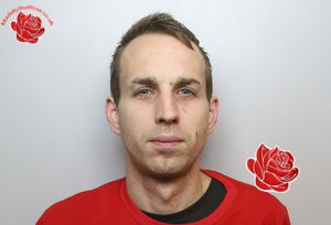 Profile image of Robert Miles