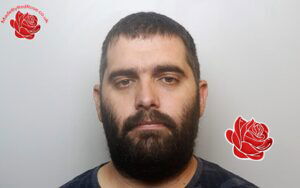 Profile image of Jason Newman