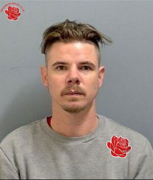 Profile image of Stuart Tomey