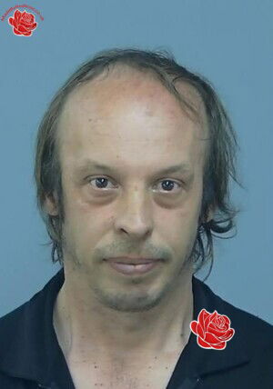 Profile image of Stephen Grant
