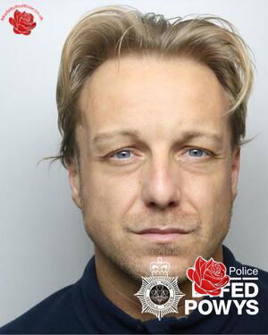 Profile image of Andrew Gold