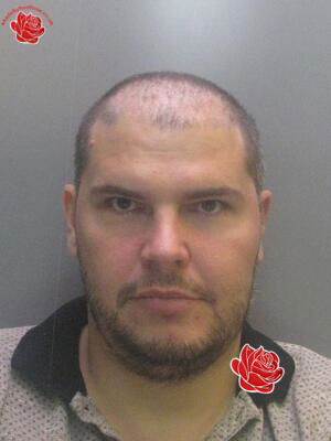 Profile image of Mark Dodds
