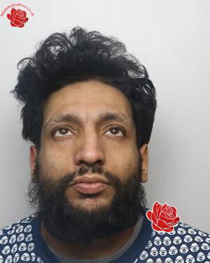 Profile image of Hassan Basharat