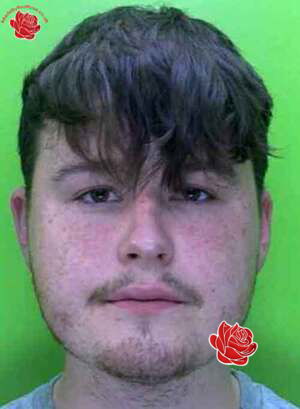 Profile image of Connor Weeks