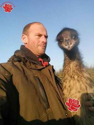 Profile image of Chris White