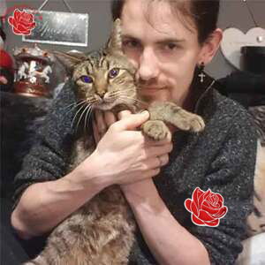 Profile image of Aled Roberts
