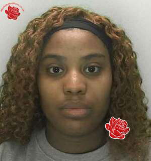 Profile image of Erica Tavares