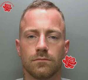 Profile image of Nathan Thompson