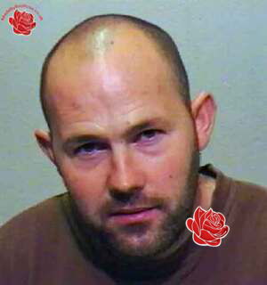 Profile image of Stephen Peveller
