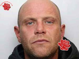 Profile image of Luke Ward