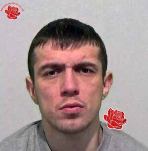 Profile image of Casey Bell