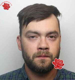 Profile image of Dudley Stein