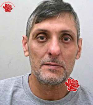 Profile image of Sajid Hussain