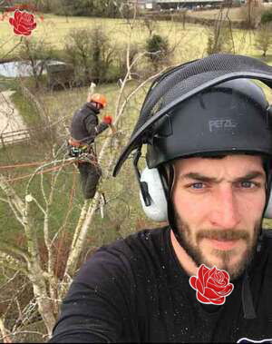 Profile image of Luke Rix