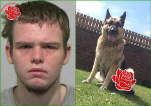Profile image of Luke Proffitt