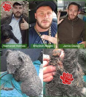 Profile image of Jamie Davies, Nathaniel Holmes and Brandon Abbott