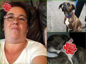 Profile image of Yvonne Williams