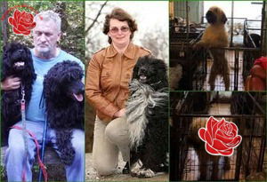 Profile image of Ray Mainland and Sue Tweedie