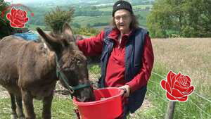 Profile image of Geraldine Gibson