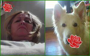 Profile image of Susan Foster