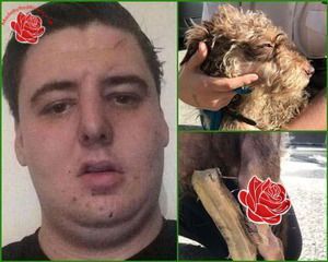 Profile image of Jordan Townend
