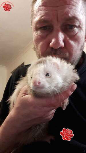 Profile image of David Thompson