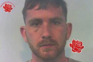 Profile image of Brandon Woods