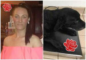 Profile image of Ashliegh Tolley