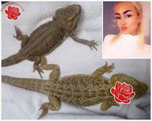 Profile image of Jayde Ross