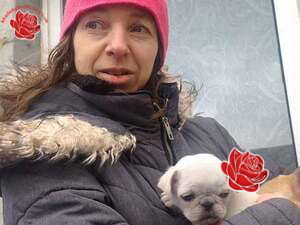 Profile image of Carol Willis