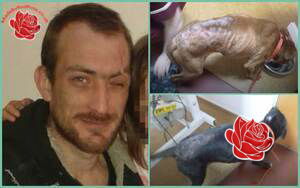 Profile image of Darren Haywood