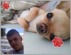 Profile image of Reece West