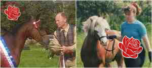 Profile image of Stan and Heather Strelley